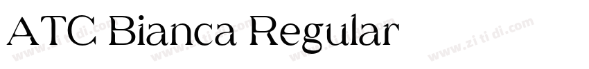 ATC Bianca Regular字体转换